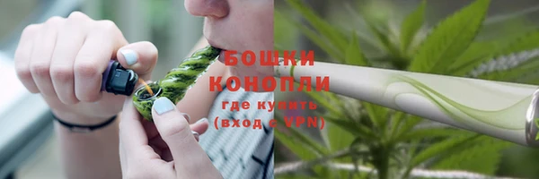 крисы Богданович