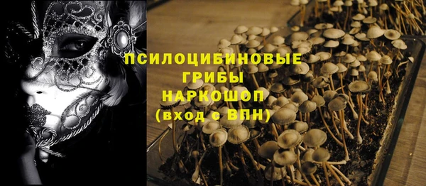 крисы Богданович