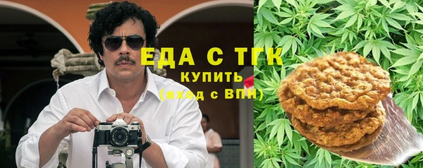 spice Богородск