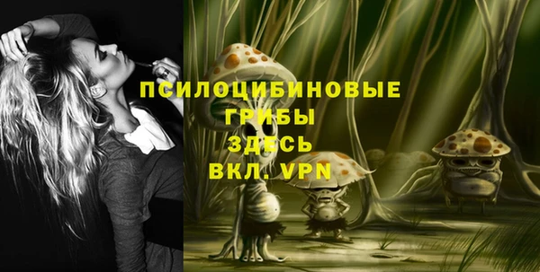 крисы Богданович