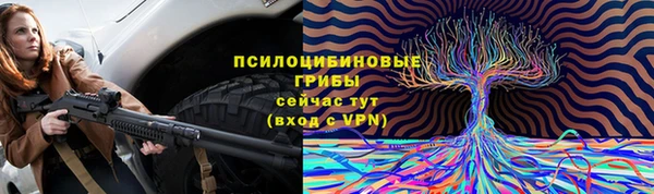 крисы Богданович