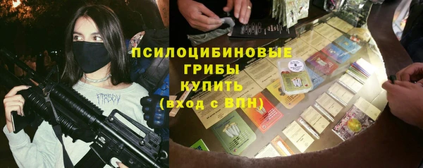 крисы Богданович