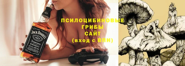 крисы Богданович