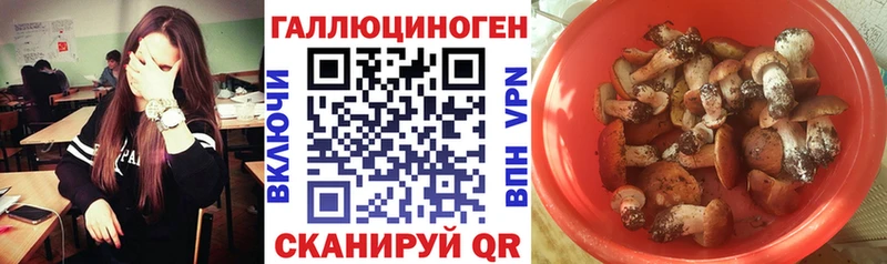 даркнет сайт  Пионерский  Галлюциногенные грибы Magic Shrooms 